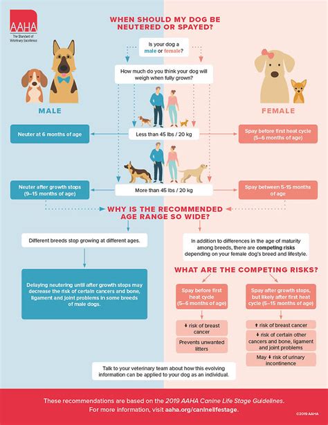 FAQS ABOUT SPAY/NEUTER .